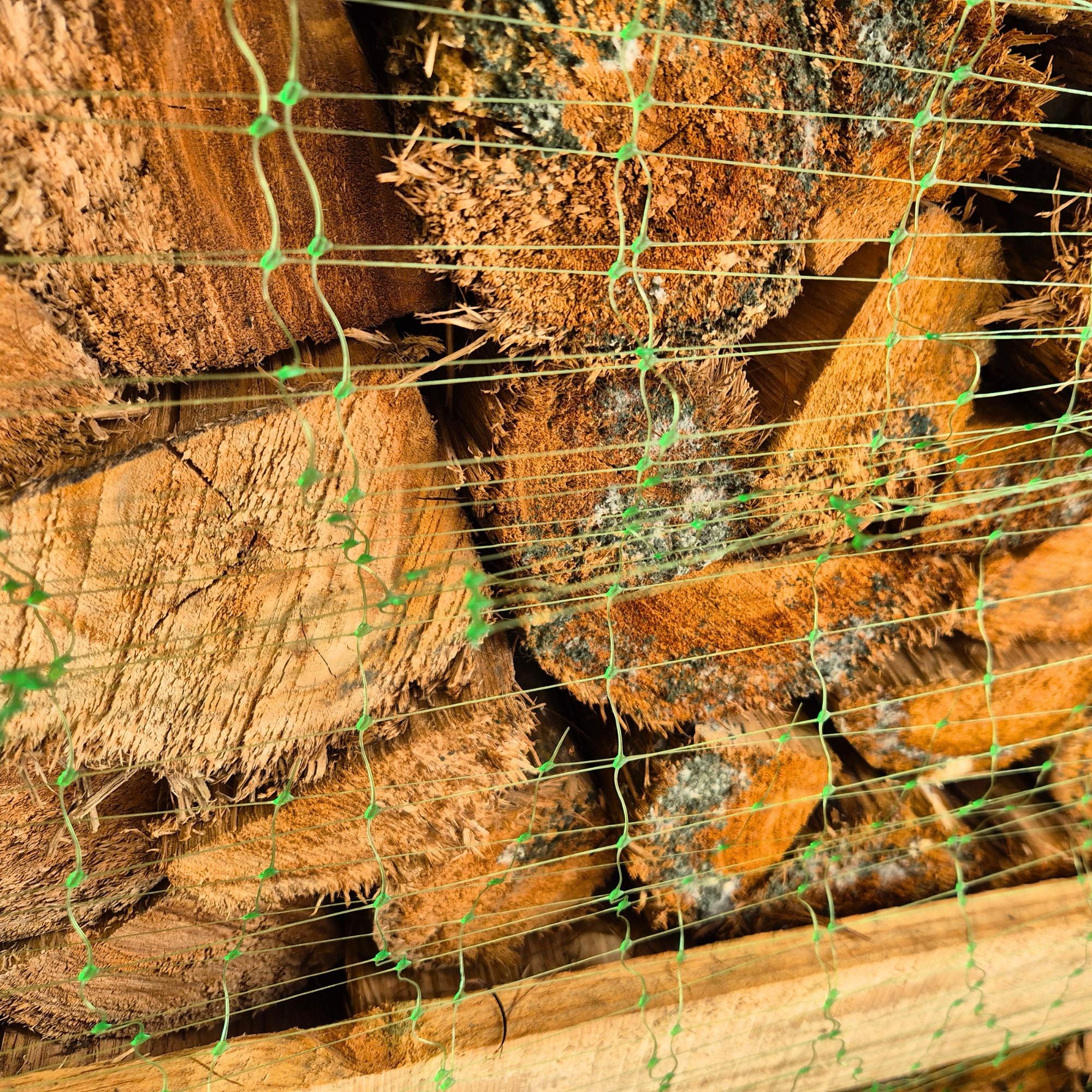 B-Grade Firewood Crates